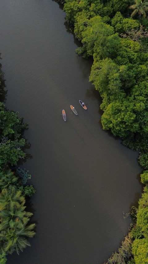 Изображение для тура «Шри-Ланка февраль»